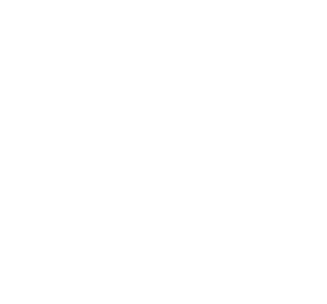logo strip