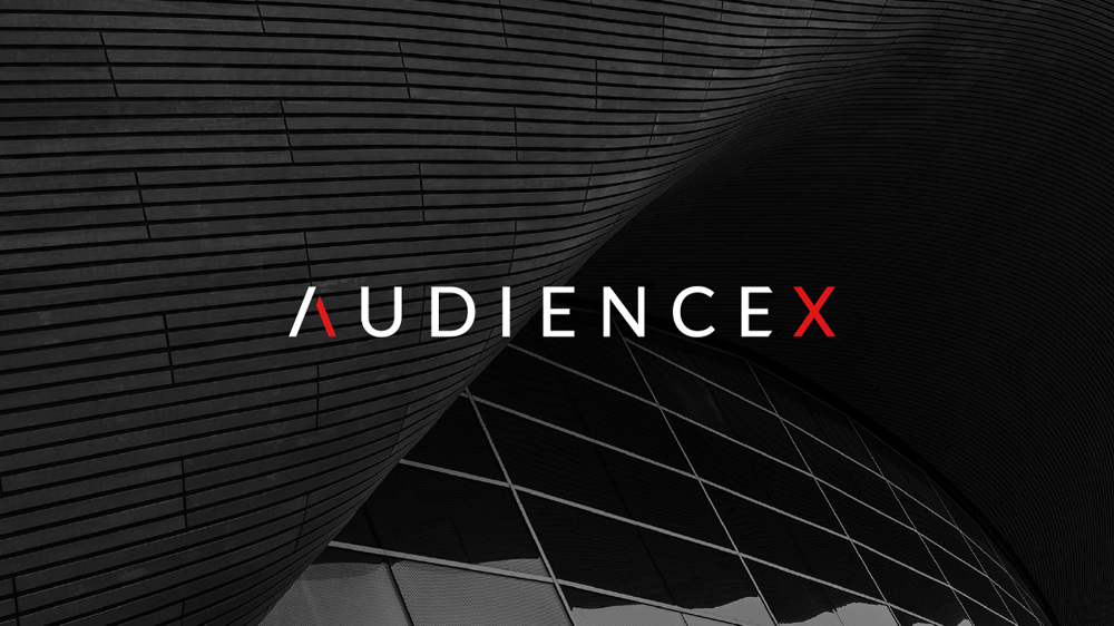 AUDIENCEX acquires Bigbuzz Marketing Group – agency acquisition news